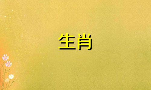 属狗的男人和属马的女人适合配什么生肖?属狗的男人和属马的女人互相吸引吗?