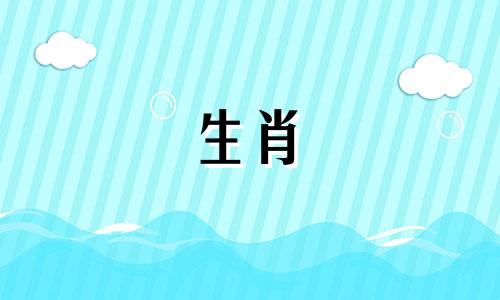 1990年马年,属马人该如何提升自己的运势呢?