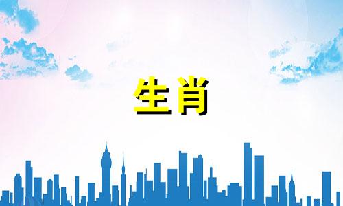 属兔的人与属龙的人最配吗？