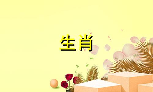 属兔人2022年的运势如何？属兔人2022年的事业和官运如何？