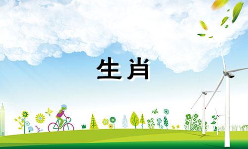 属蛇女2022年运势及财运