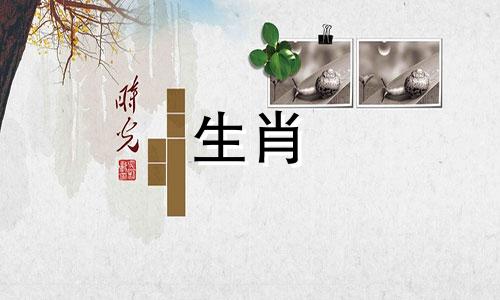 属狗的男士在2021年，一整年各方面的运势都不是很好。