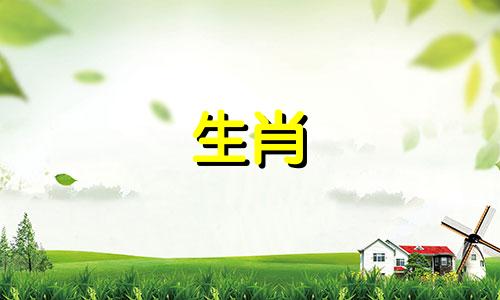 什么星座最适合养母狗?什么星座最适合养母狗?属狗的女人适合嫁什么生肖?