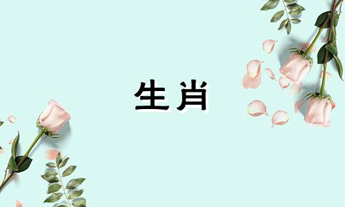 2021年属狗人适合做生意吗？警惕合作伙伴