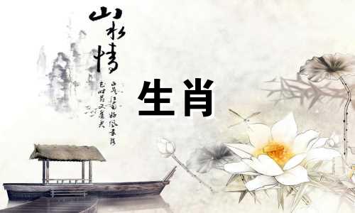 2003年出生的属羊人2022年的命运