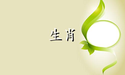 属龙的女人,注定会带来财富,值得结婚