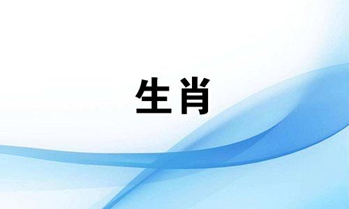 1996年出生的属鼠人2021年运势不错，有望升职加薪。