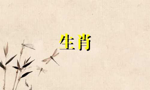 1979年属羊人穿什么才能招财？ 1979年属羊的人应该穿什么生肖？