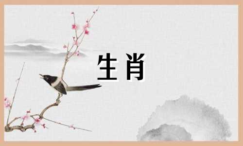 属猪女性2021年全年事业、财运稳定。