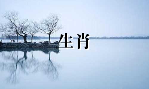2004年属猴人2022年学业、健康运势