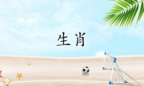 1983年，猪年出生的人是水年出生的。属猪人的综合运势是众所周知的。