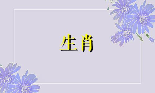 1992年属猴人的运势以及2022年男性的运势