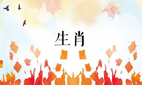 1997年牛年可以结婚吗?结婚会改变你的生肖运势吗?