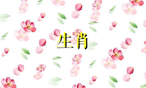 2021年属鼠女性的生肖是六合。今年不要太骄傲。