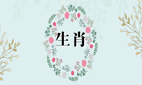 属马女性2021年运势：已婚人士将迎来新生活