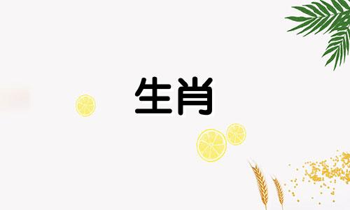 1951年出生的属兔人2021年健康运势会稍有波折，但相对稳定。