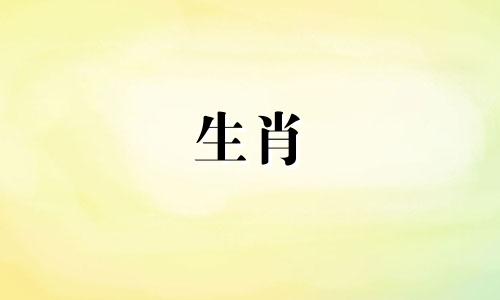 1985年，牛年出生的人桃花受太岁影响，感情不顺。