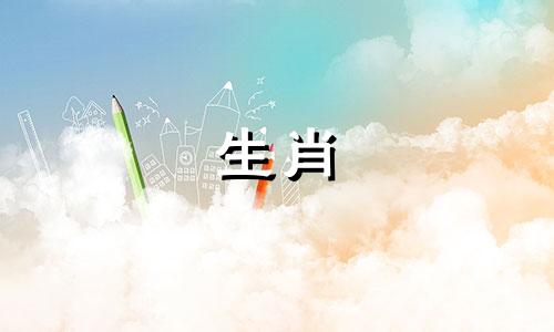 1971年生肖猪，2021年财源广进。