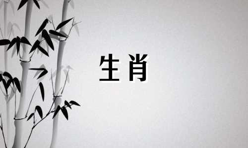 2000年出生的属龙女生结过几次婚？经过两段婚姻，她会更懂得珍惜。