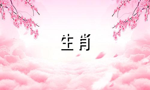 生肖马和哪个生肖最配？会不会容易与生肖鼠产生矛盾呢？