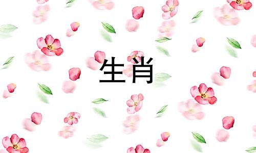 1975年，兔年出生的人一生有过两次婚姻，第二次婚姻默契度很高。