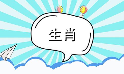 2021年属鼠人可以做生意吗?开一家杂货店会赚很多钱