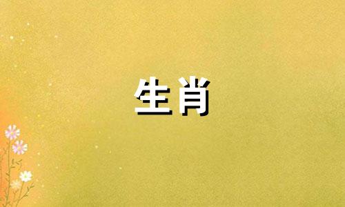 属猪人2021年的爱情运和感情运都取决于自己的努力。