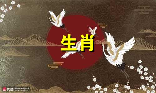 2004年出生的人2022年猴年的学业运势如何？