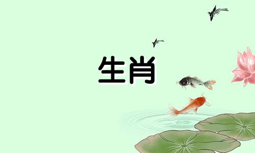 属狗人2021年12月整体运势有所改善