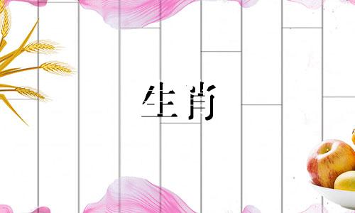 2021年属兔的女性财运不错,收入也很可观。