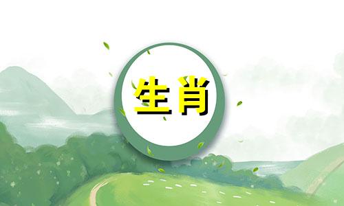 属狗的人在2021年佩戴守护神项链会带来好运。