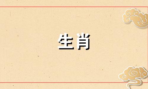 属蛇的女人最喜欢哪个星座的女人？属蛇的人性格互补