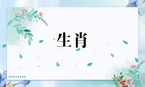 2021年属鼠人忌讳什么颜色?生肖鼠的禁忌颜色有哪些?