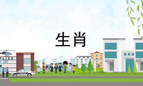 属兔与哪些生肖最配?属兔人最好的生肖是什么?