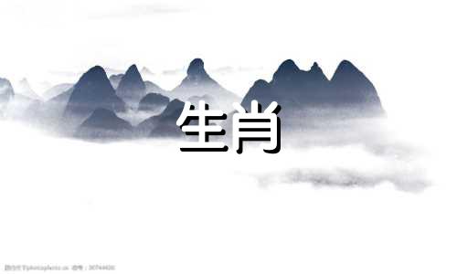 属猪的人在2021年下半年将会带来四面八方的好运。