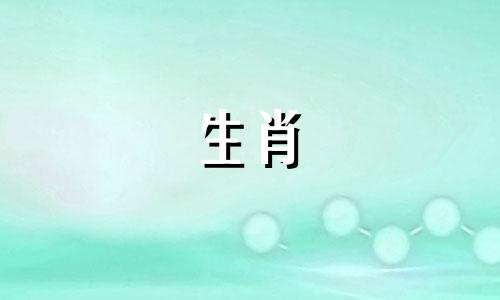 鼠年有哪些禁忌?为什么鼠年运气不好?