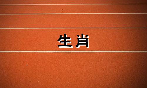 属猪人2021年正月思考大运会遇到困难