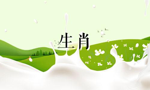 2008年的生肖鼠在2021年健康运势稳定,身体健康,没有疾病。