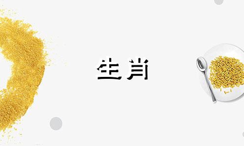 属鸡人2022年全年运势、财运、婚姻