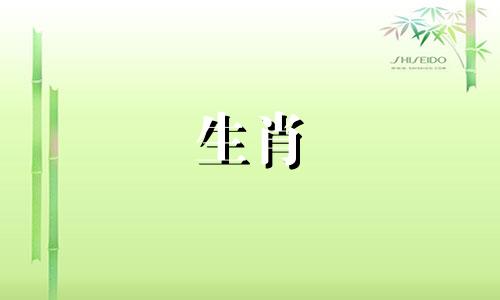 属鸡和属鸡的生肖属相平均、上位,日常生活中他们相爱相杀。