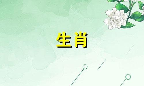 2006年的生肖狗将会影响你2021年的健康。