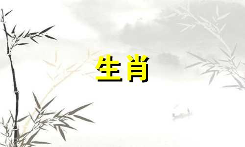 1987年出生的属兔人属火兔，对爱情非常忠诚。