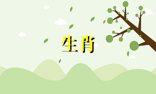 详细讲解了属羊人的一生运势和事业。