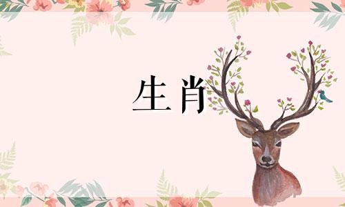 属马人2021年运势丑陋,中午会带来霉运。