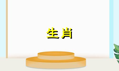 猪住在哪一层？住十楼最吉祥，可招桃花。