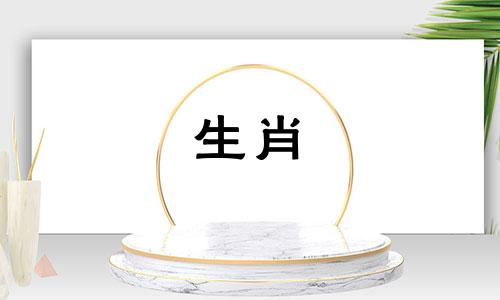 1985年,属牛的男人嫁给了谁?属牛和属鼠的女人在感情上最配吗?