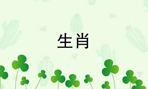 属羊与什么生肖最配?