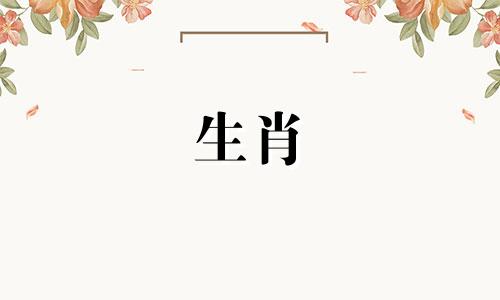 生肖属龙的人在2021年运气不错,可以扭转悲惨的局面。