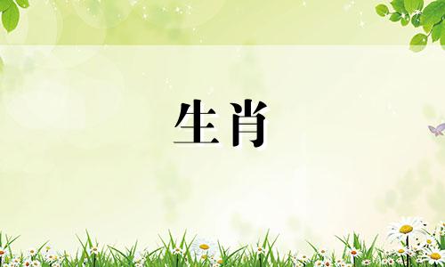鸡年出生的人2021年要注意爱情陷阱，容易被骗钱、骗色。