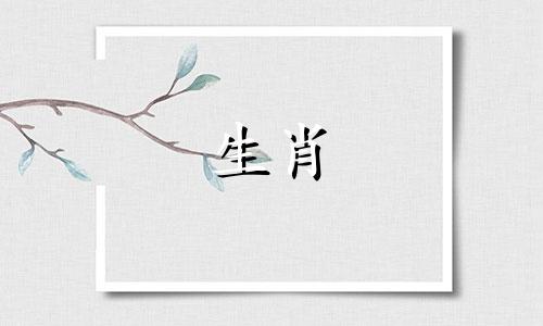 1982年狗年出生的贵人谁能化解流年运势呢？